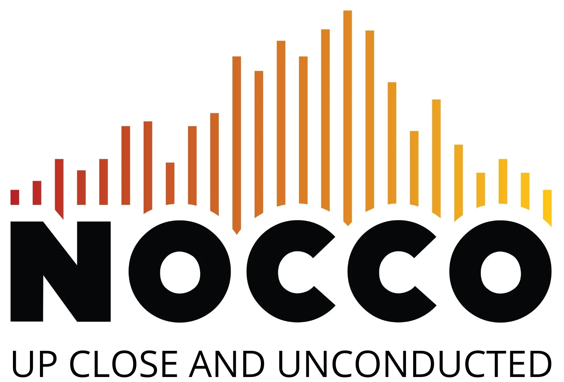 NOCCO Seattle - North Corner Chamber Orchestra — What We Do